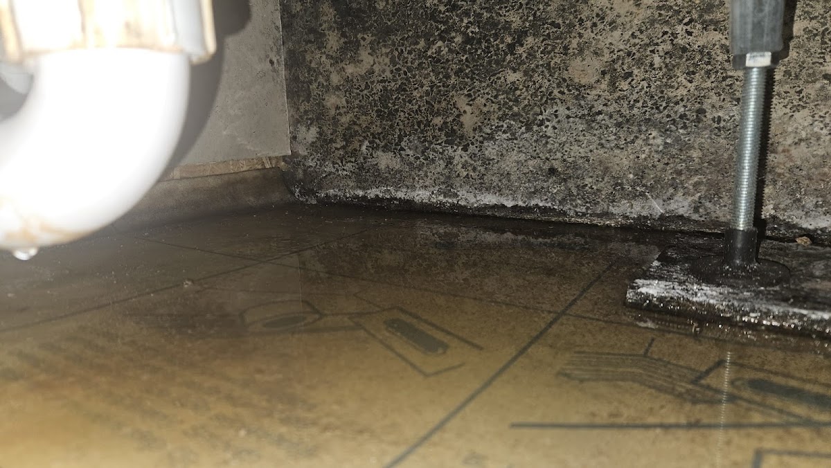 Admire Plumbing & Heating — recent job in London