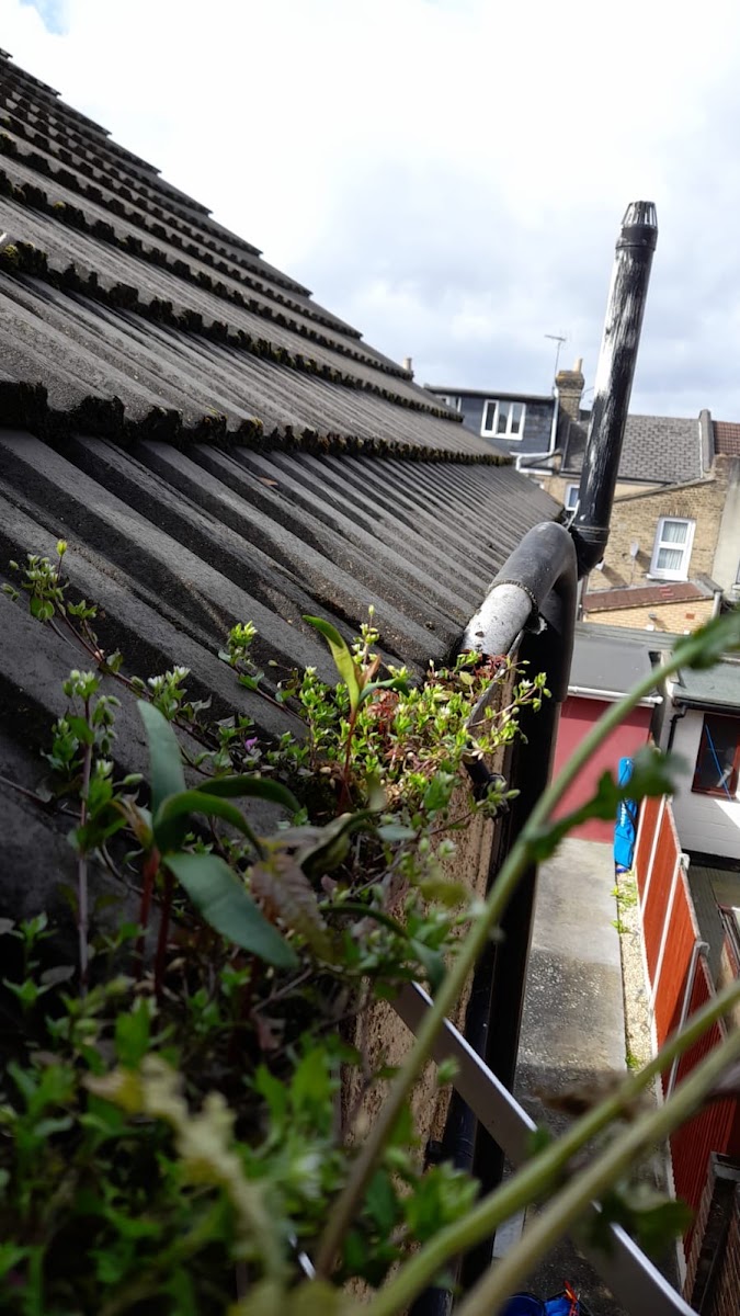 AE Exterior Cleaning Ltd — recent job in London