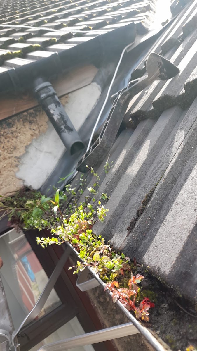 AE Exterior Cleaning Ltd — recent job in London