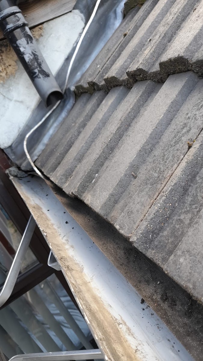 AE Exterior Cleaning Ltd — recent job in London