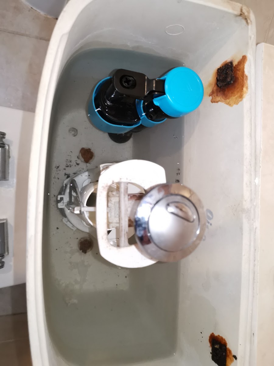 BRIDGE Heating & Plumbing services London Ltd — recent job in Kingston Upon Thames