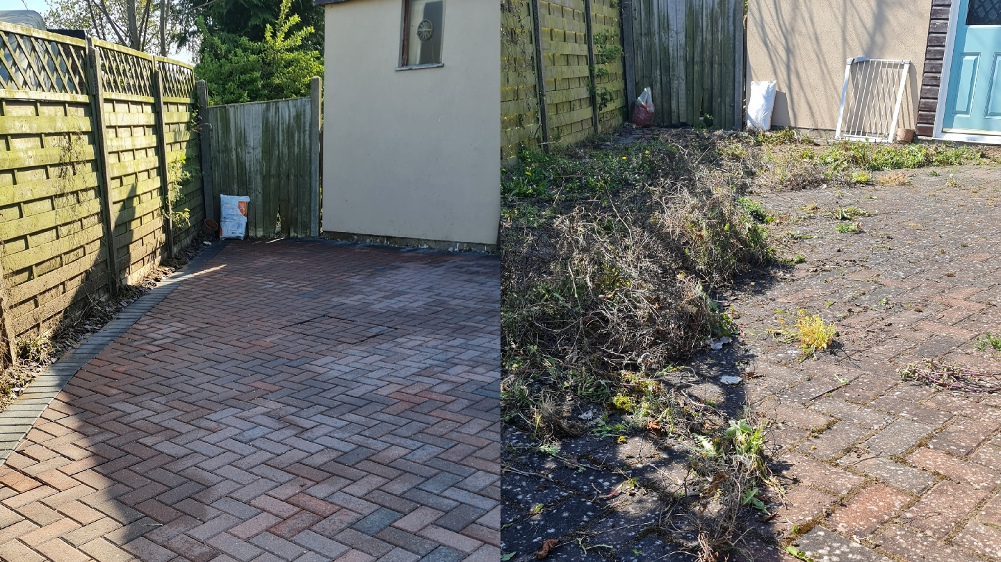 Charles Window Cleaning & Gutter Cleaning & Pressure Washing & Roof Cleaning — website preview in the Forge design