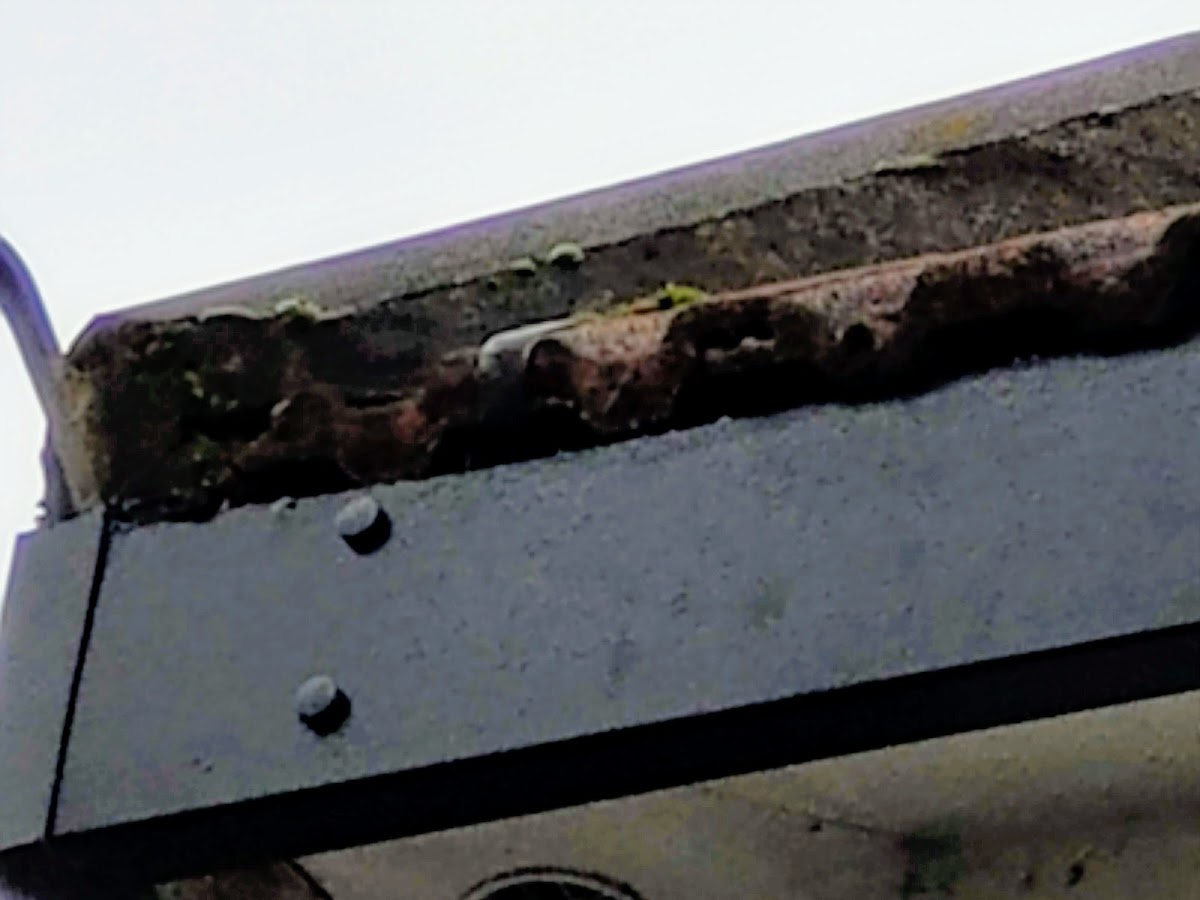 Guttering Bromley — recent job in Bromley