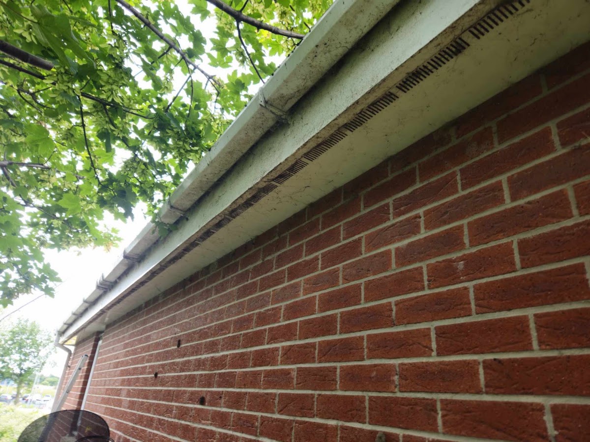 Kelley & Son's — recent job in Widnes