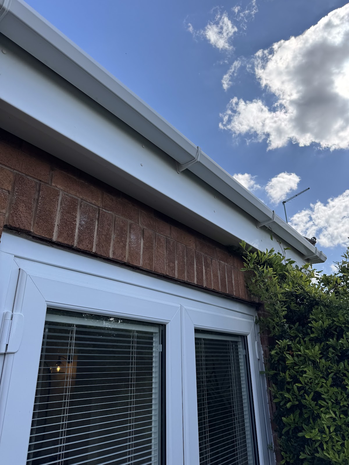 Lexies gutter services — website preview in the Harbor design