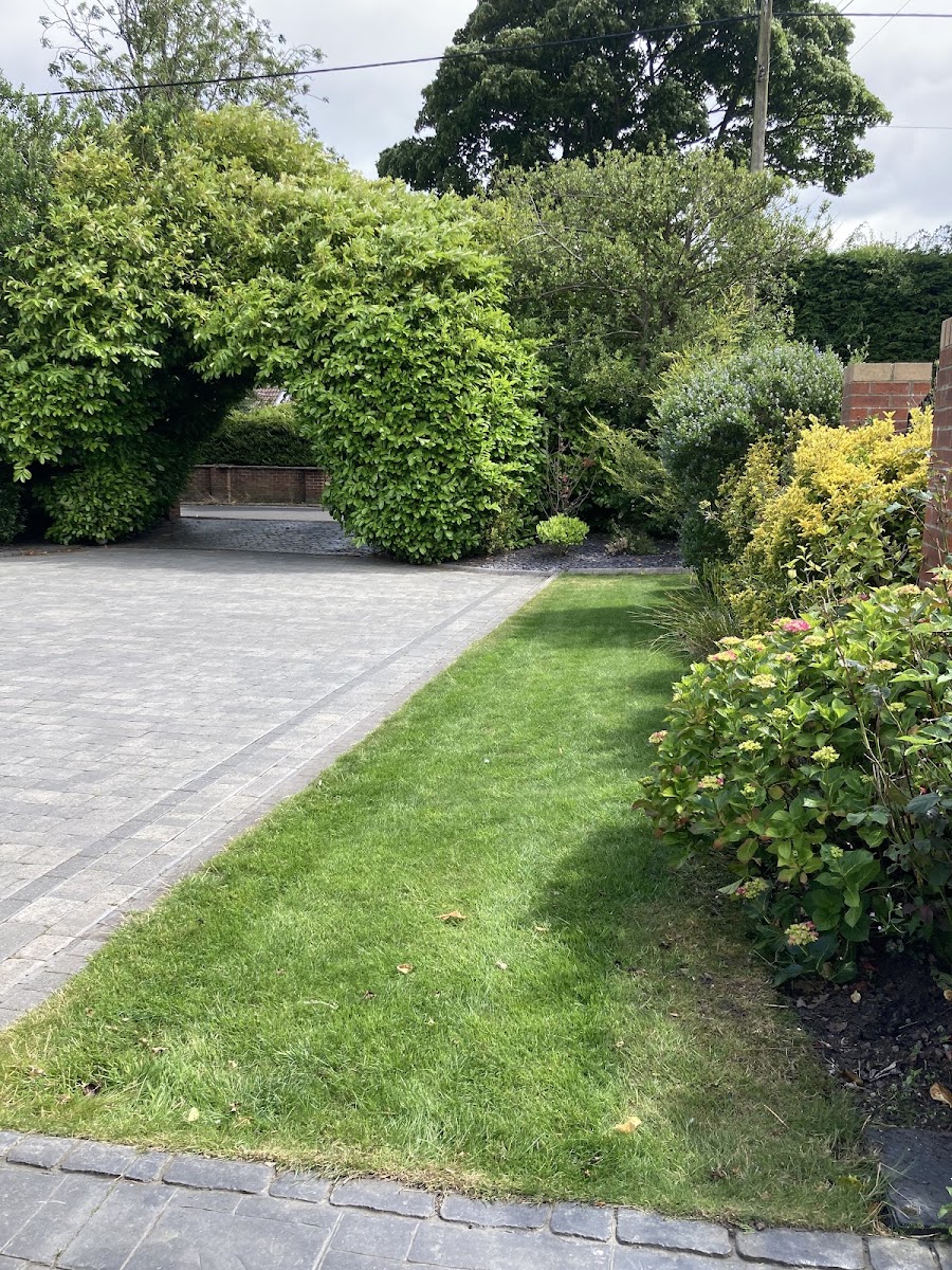 Mr Weeds Lawn Care & Pressure Washing/gutter cleans — recent job in Durham