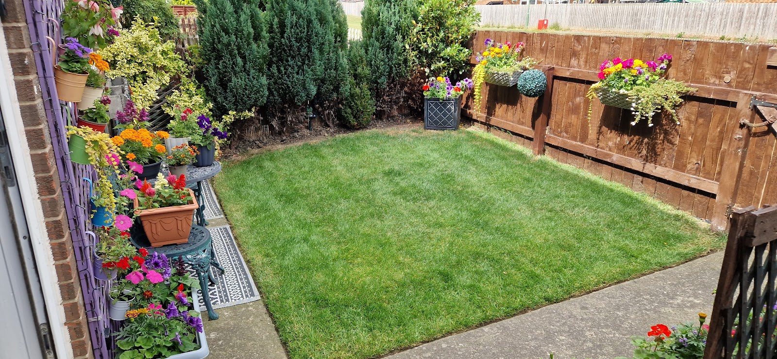 Mr Weeds Lawn Care & Pressure Washing/gutter cleans — website preview in the Forge design